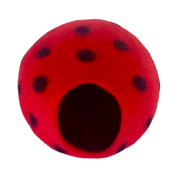 Cocoon