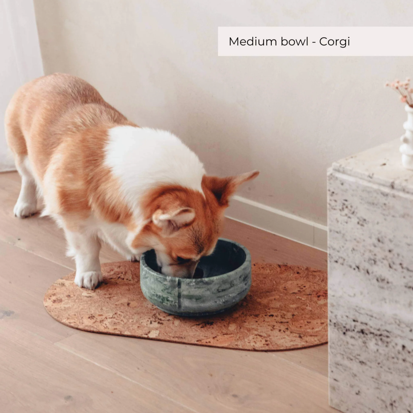 Gamelle d'alimentation classique Chien