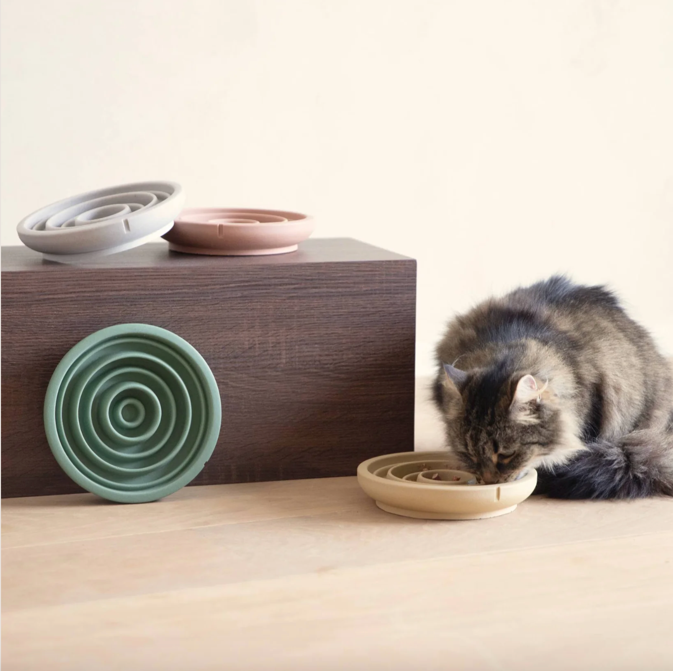 Alimentation lente et gamelles interactifs Chat