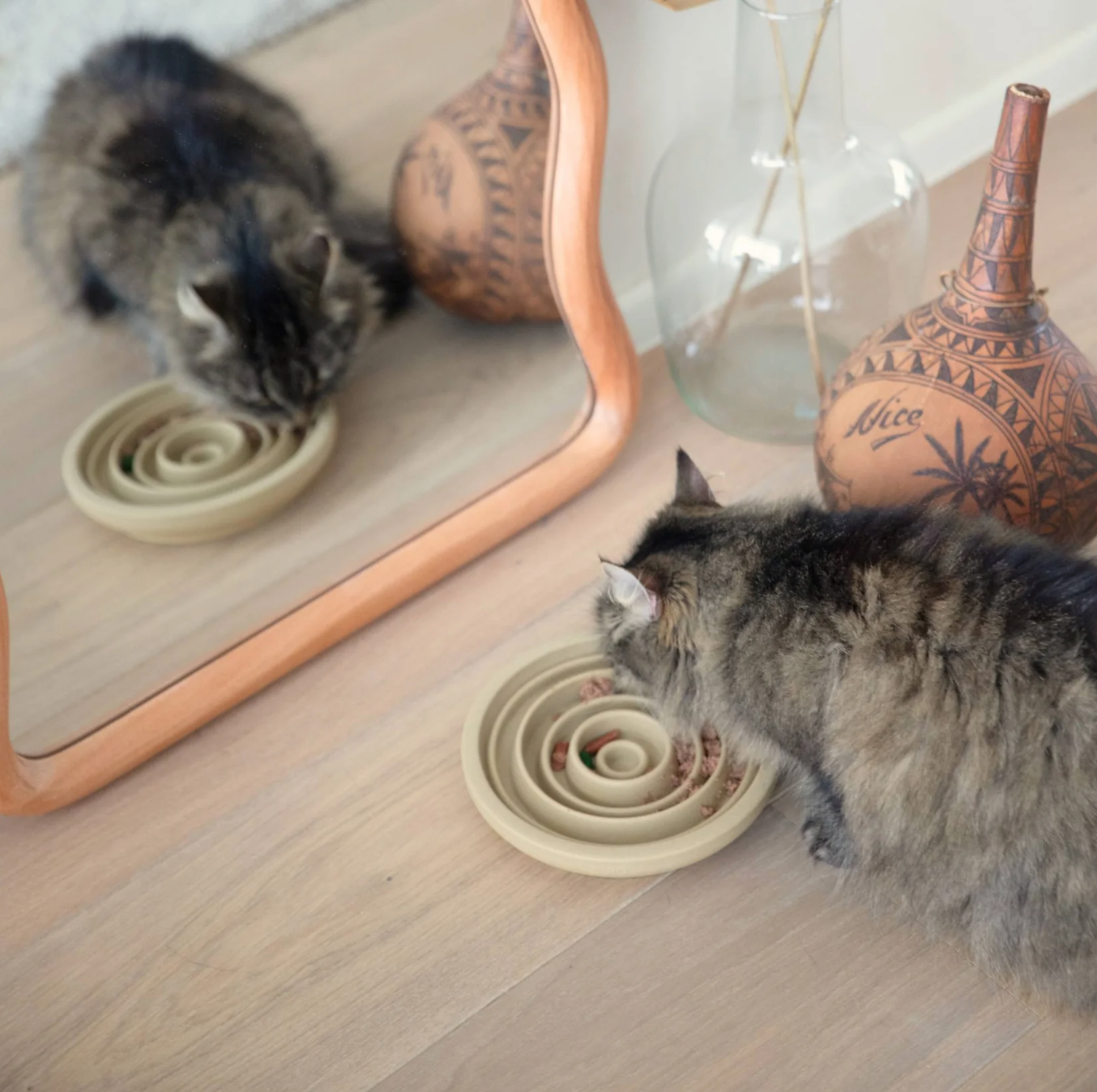 Alimentation lente et gamelles interactifs Chat