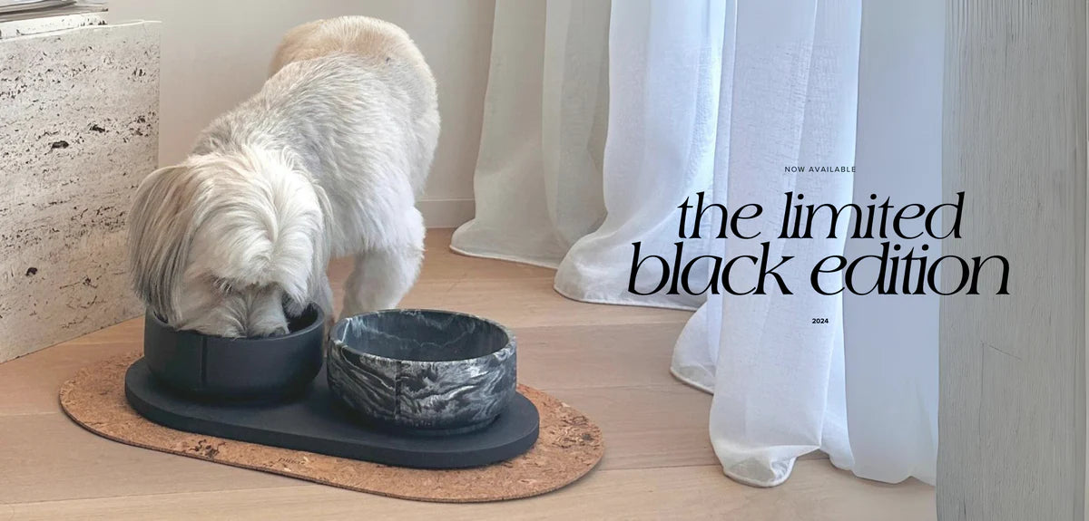 Gamelle d'alimentation classique Chien