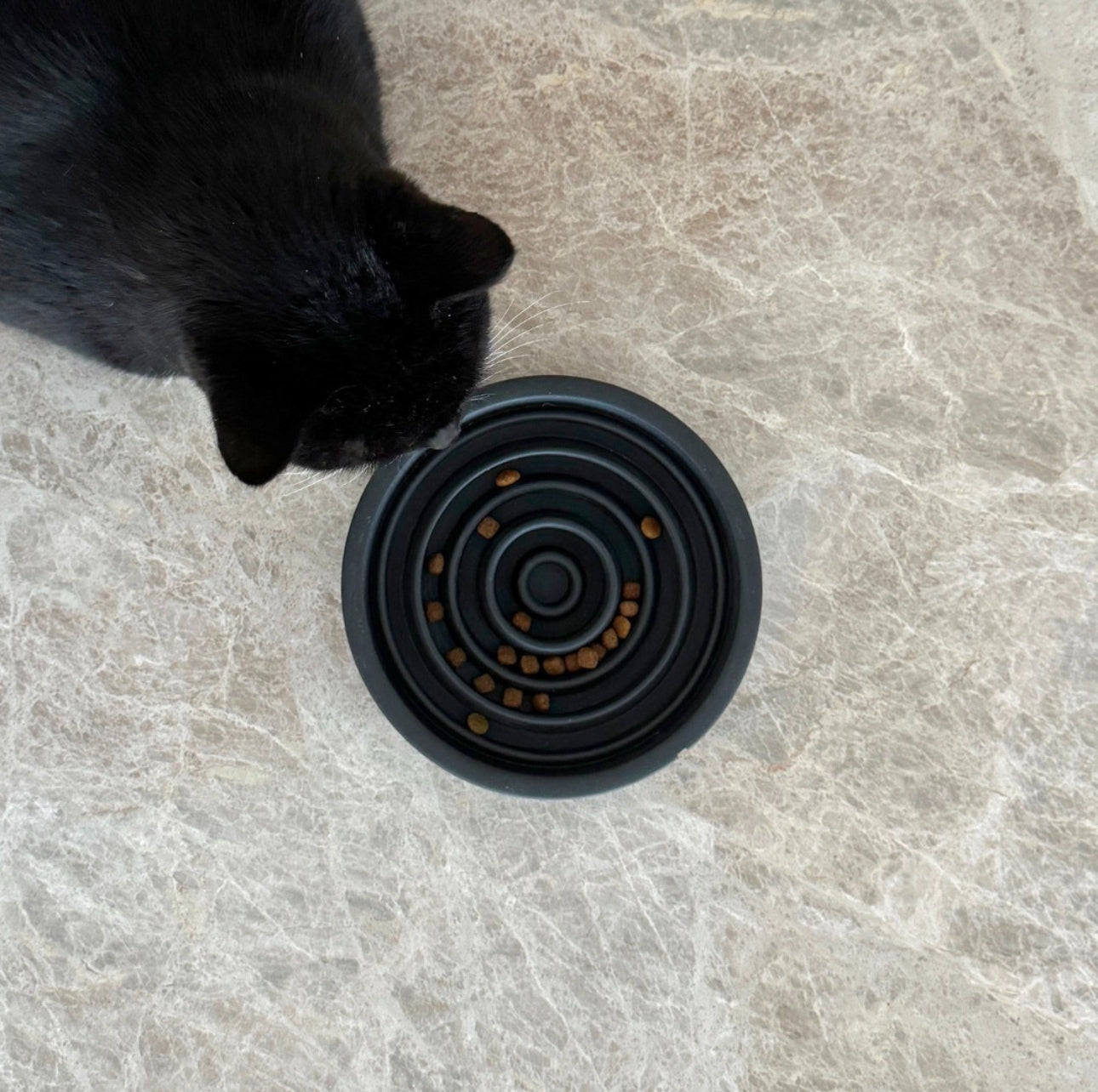Alimentation lente et gamelles interactifs Chat