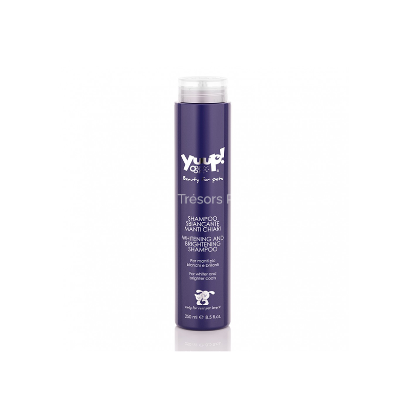 Shampoing éclaircissant léger pour cheveux 250 ml - Les Trésors Pets