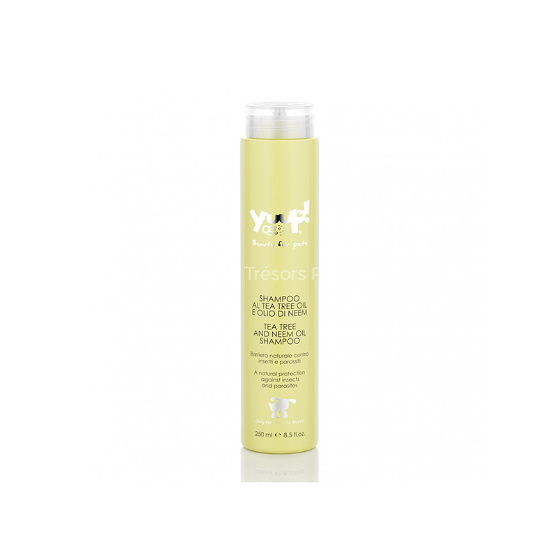 Shampoing à l'huile d'arbre à thé et à l'huile de neem 250 ml - Les Trésors Pets