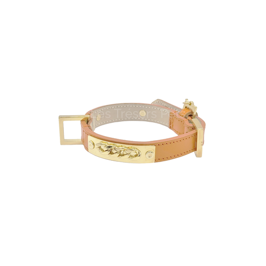 Collier orange et médaillon dorée - Les Trésors Pets