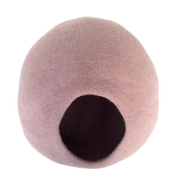 Cocoon