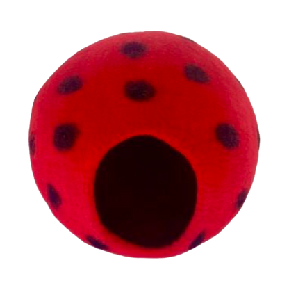 Cocoon
