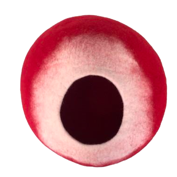 Cocoon
