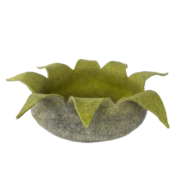 Cocoon