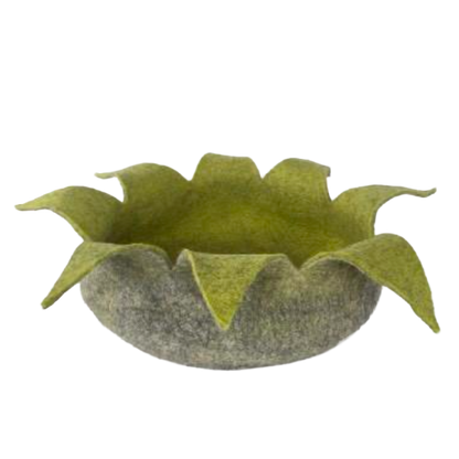 Cocoon