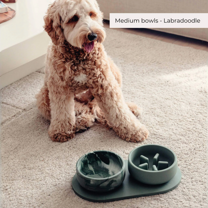Gamelle d'alimentation classique Chien