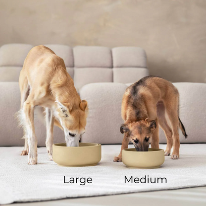 Gamelle d'alimentation classique Chien