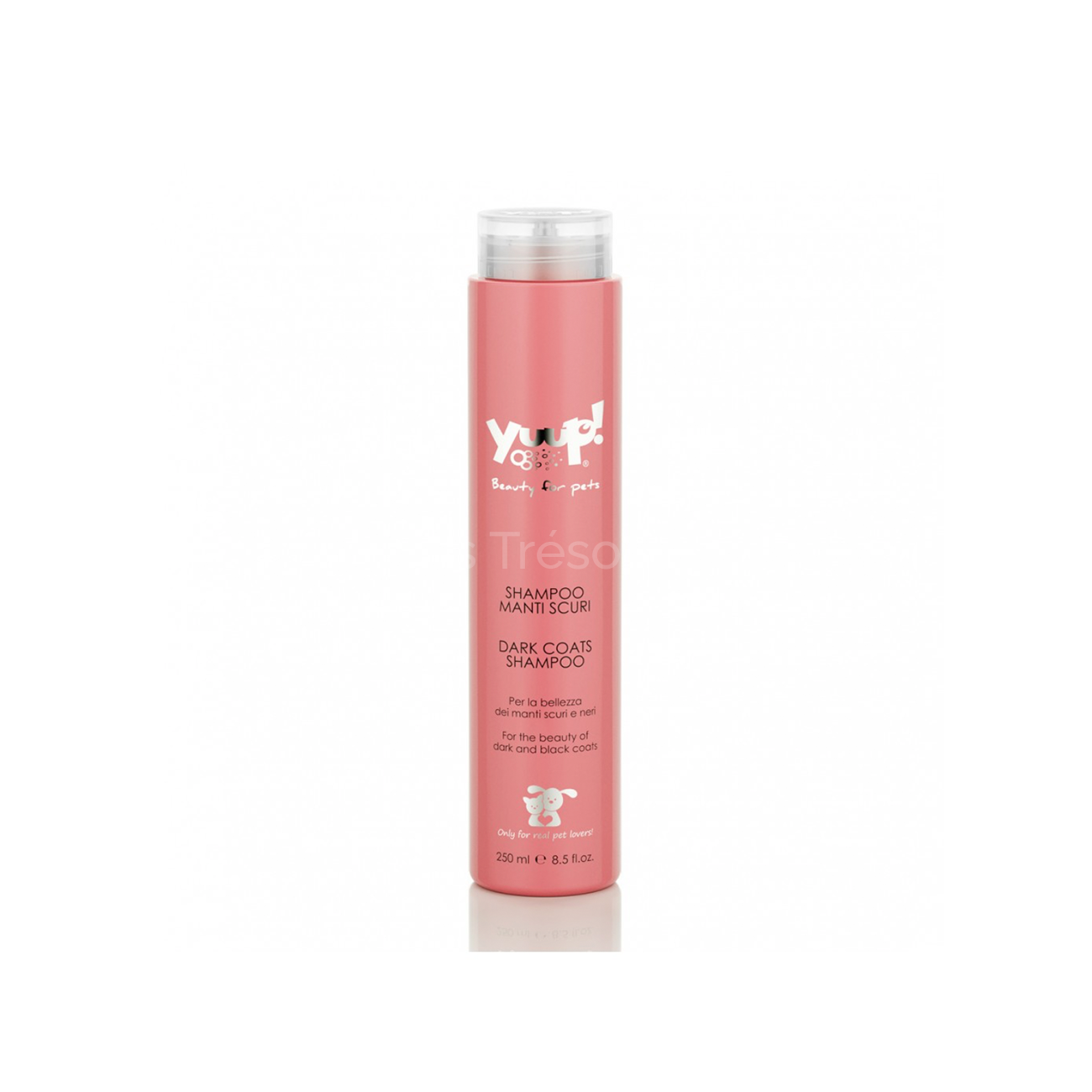 Shampoing pour pelages foncés 250 ml - Les Trésors Pets