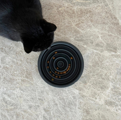 Alimentation lente et gamelles interactifs Chat
