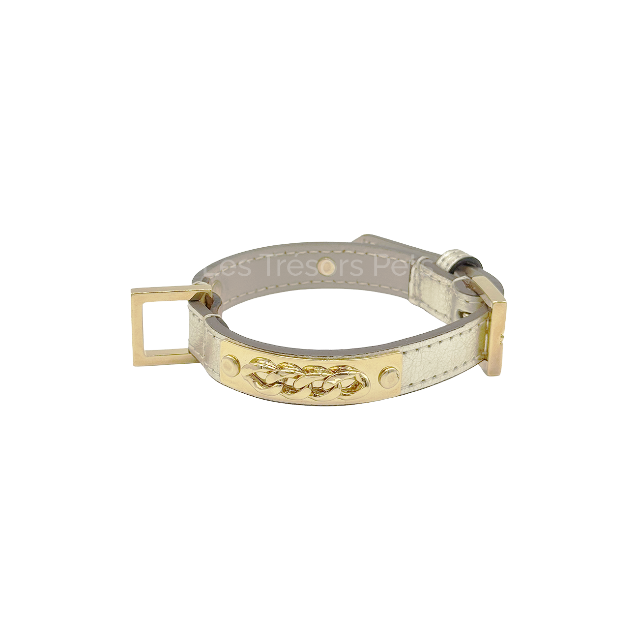 Collier avec dorée et médaillon - Les Trésors Pets