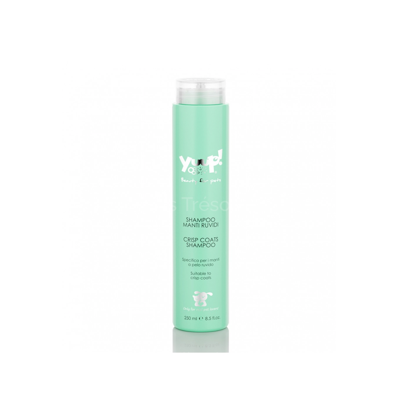 Shampoing pour poils durs 250 ml - Les Trésors Pets