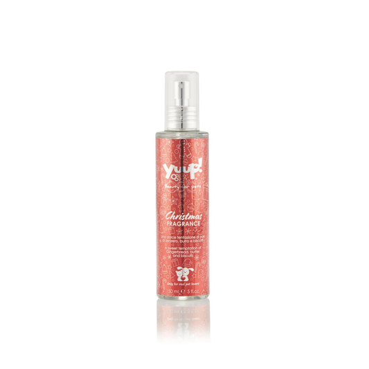 Parfum de Noël 150 ml